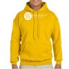 Adult Heavy Blend™ Hooded Sweatshirt Thumbnail