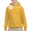 Youth Heavy Blend™ Hooded Sweatshirt Thumbnail